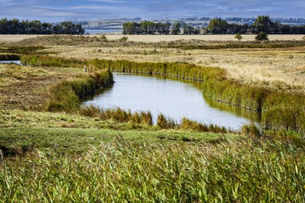 Swale Landscaping in Salt Lake City