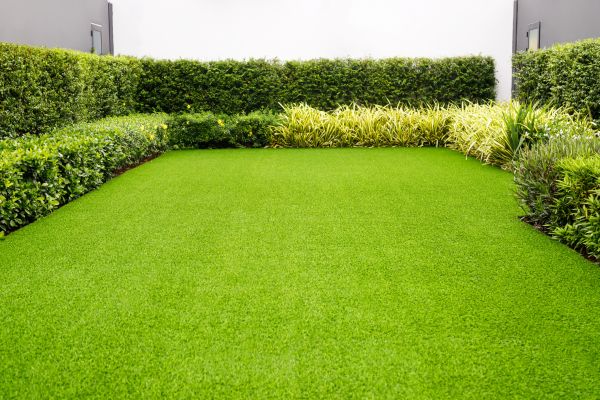 Turf Renovation