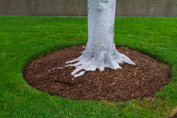 Brown Mulch Installation in Salt Lake City