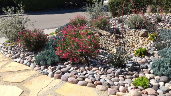 Xeriscape Landscaping in Salt Lake City