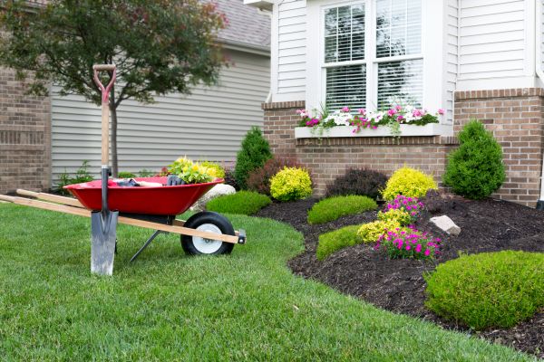 Tree And Shrub Planting in Salt Lake City