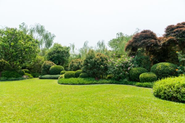 Tree Landscaping in Salt Lake City