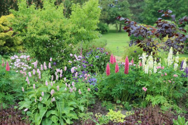 Flower Bed Planting in Salt Lake City