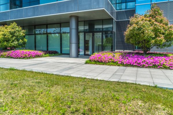 Office Landscaping Design Service