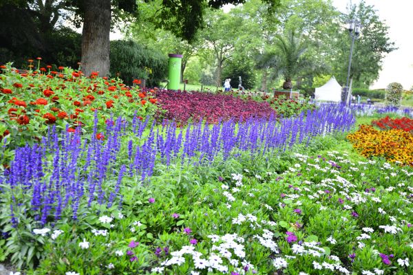Perennials Planting in Salt Lake City