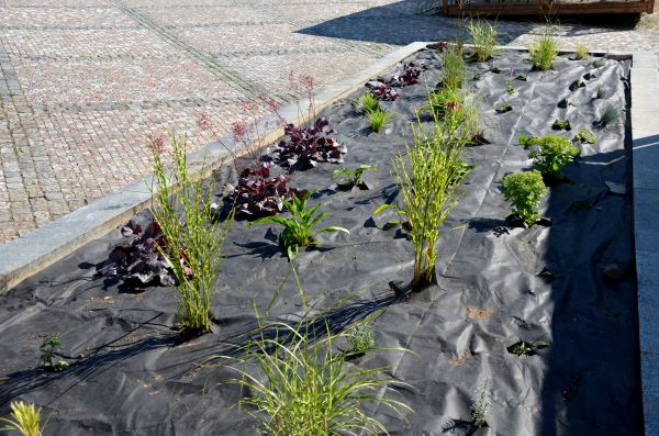 Landscape Fabric Installation in Salt Lake City