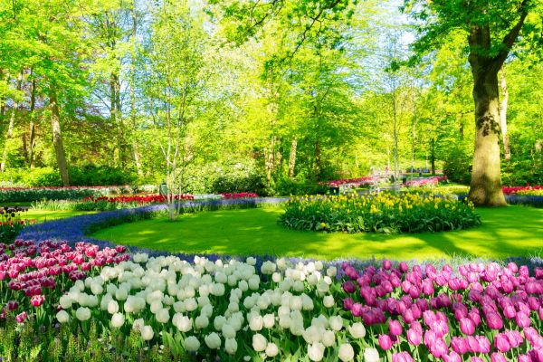 Flower Landscaping in Salt Lake City