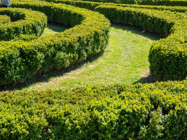 Bush Landscaping in Salt Lake City