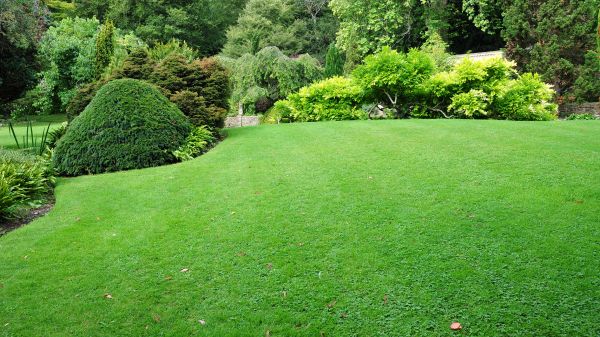 Commercial Landscape Design Service