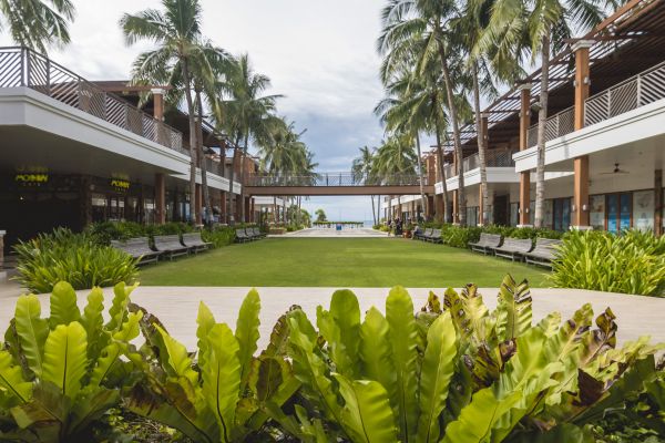 Commercial Lawn Renovation Service