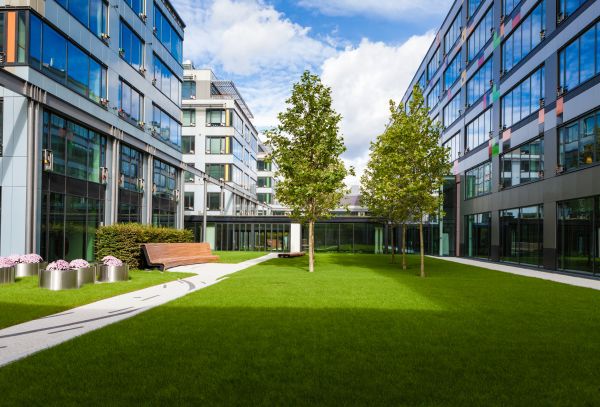 Commercial Grass Renovation