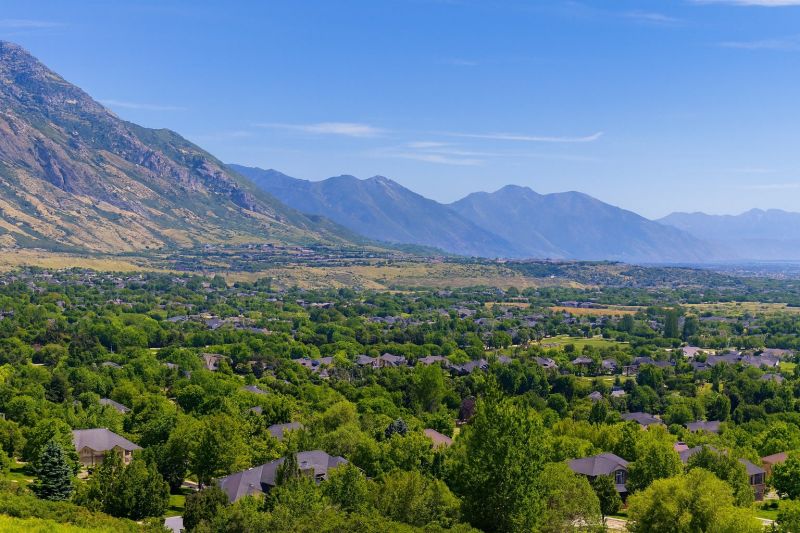 Who Does Landscapings