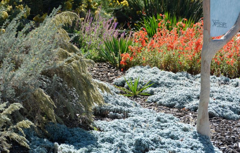 Xeriscape Landscaping
